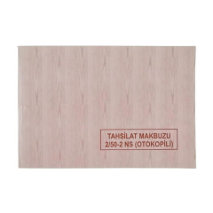 Dilman Tahsilat Makbuzu 2-50 2 Nüsha Otokopili