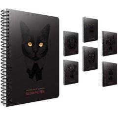 Glow Note S.Kpk 17X24 120Yp Çizgili Def 4202 Gıpta