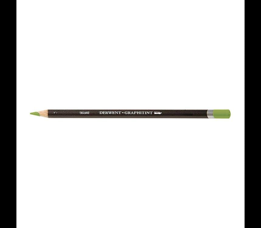 Derwent Graphıtınt B.Kalemı Meadow 10