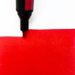 Wn Promarker Gold 283 (O555)