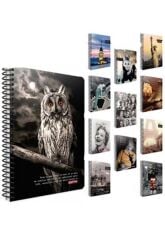 Gıpta Capıtal A4 100Yp. Cızgılı Srt.Kp. Defter