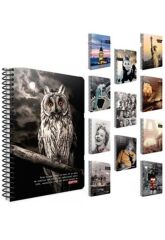 Gıpta Capıtal A4 100Yp. Cızgılı Srt.Kp. Defter