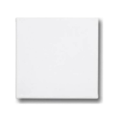 Kraf Tuval 40X40 922G