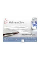 Hahnemühle Harmony 300G  Suluboya Bloğu 24X30 12Yp