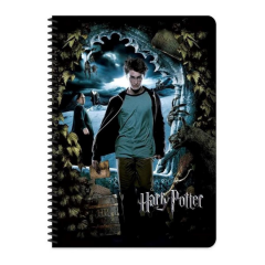 Harry Potter A5 60 Yp Çiz Spr. Karton Kapak Defter