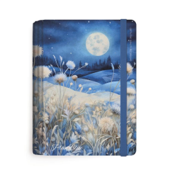 Gıpta Plan Blue Spr.Sert.Kpk. 13X21 120yp Çizgili Kareli Defter