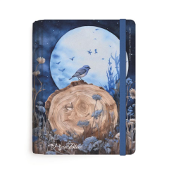 Gıpta Plan Blue Spr.Sert.Kpk. 13X21 120yp Çizgili Kareli Defter