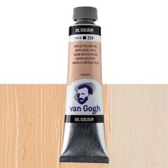 Yağlı Boya Van Gogh 40Ml No:224 Naples Yel.Red S1