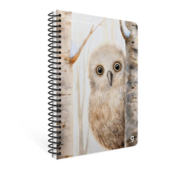 Gıpta Sneak Peek A4 80yp Kareli Sp Karton Kapak Defter 7291