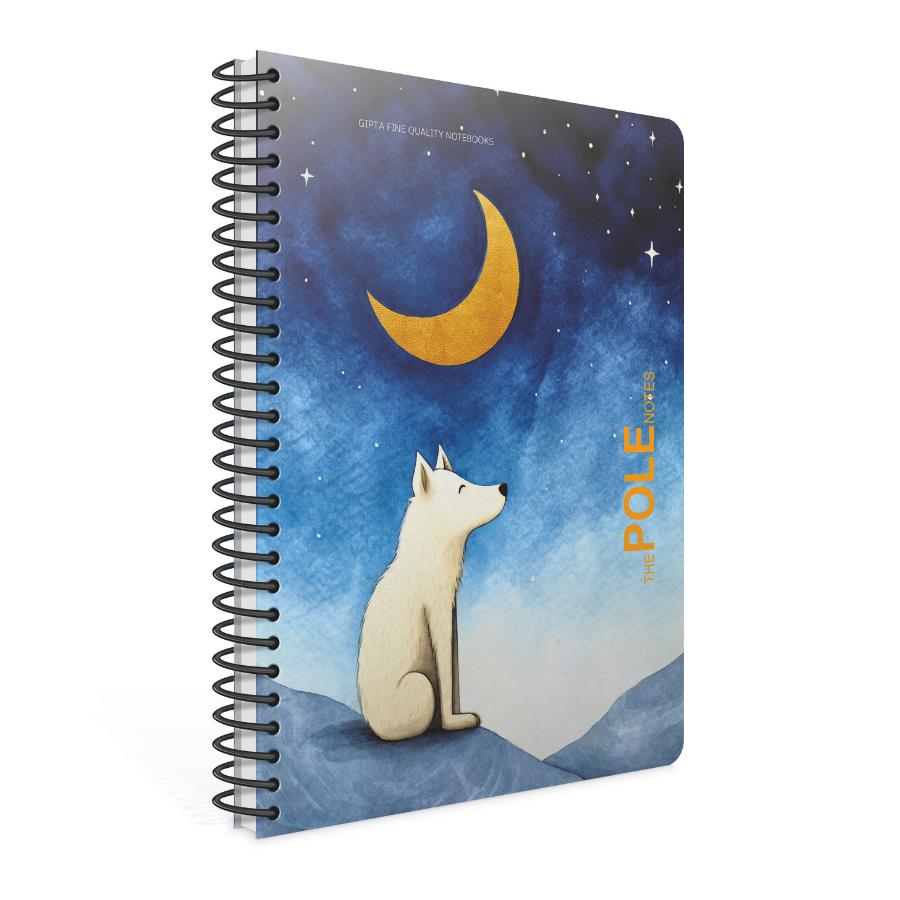 Gıpta Pole Notes A4 80yp Çizgili Sp PP Kapak Defter