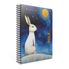 Gıpta Pole Notes A4 80yp Çizgili Sp PP Kapak Defter