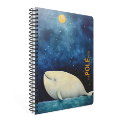 Gıpta Pole Notes A4 80yp Çizgili Sp PP Kapak Defter