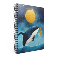 Gıpta Pole Notes A4 80yp Çizgili Sp PP Kapak Defter