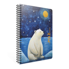 Gıpta Pole Notes A4 80yp Çizgili Sp PP Kapak Defter