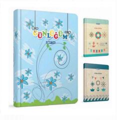 15X22 Gunluk 120Yp Cızgılı Ip.Dks. Sert Kap. Gıpta