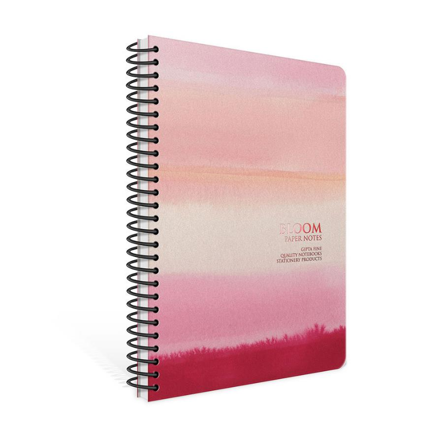 Gıpta Papernotes Spiralli Sert Kapak Defter 17x24 120yp Kareli