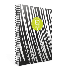 Gıpta One Notebook A4 80yp Spiralli PP Kapaklı Çizgili Defter