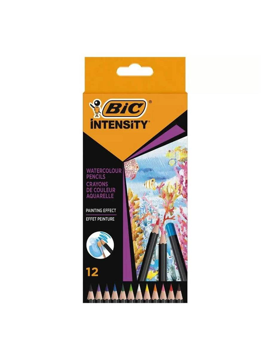Bic Intensıty Aquacouleur Kuru Sulu Boya 12 Renk