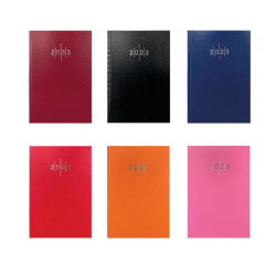 Lizy 14x20 Ekonomik Cilt Bezi Çizgili Ajanda AJ902E