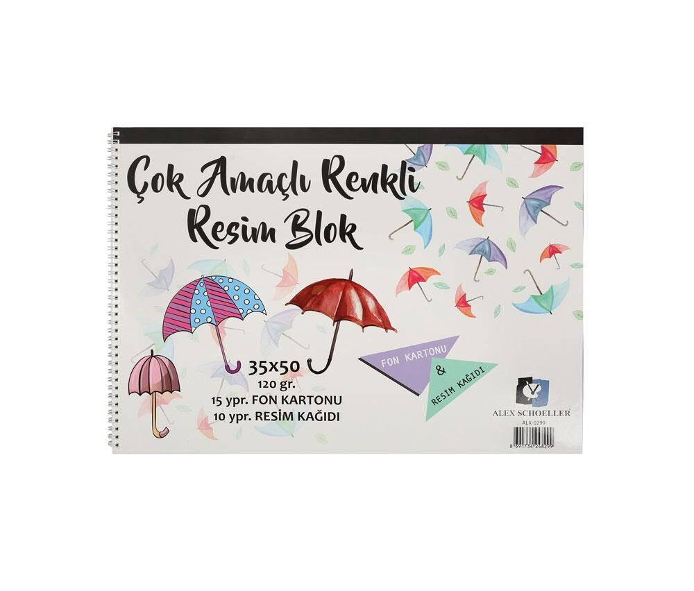 Alex Scholler Resim Defteri 35X50 120Gt 15Yp.0299
