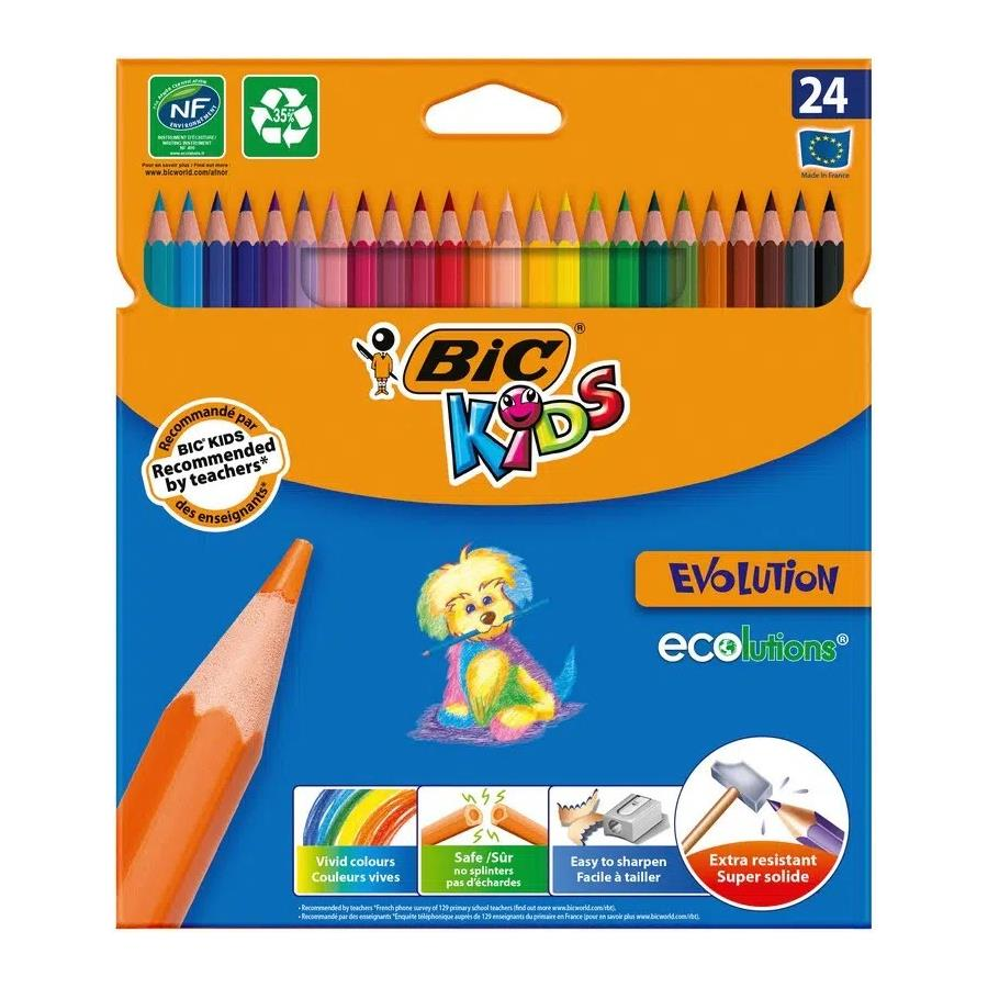 Bic Kuruboya Kalemi Evolution  24lü 829733