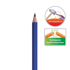 Bic Kuruboya Kalemi Evolution  24lü 829733