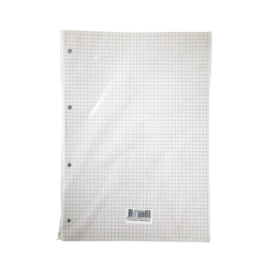 Dilman Kolej Yedeği A4 Kareli Beyaz