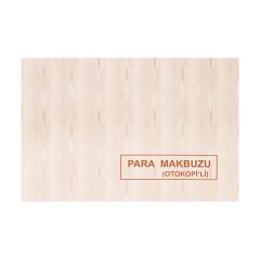 Dilman Para Makbuzu 2-50 2 Nüsha Otokopili